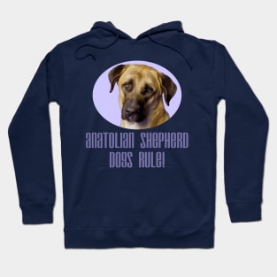 Anatolian Shepherd Dogs Rule! Hoodie